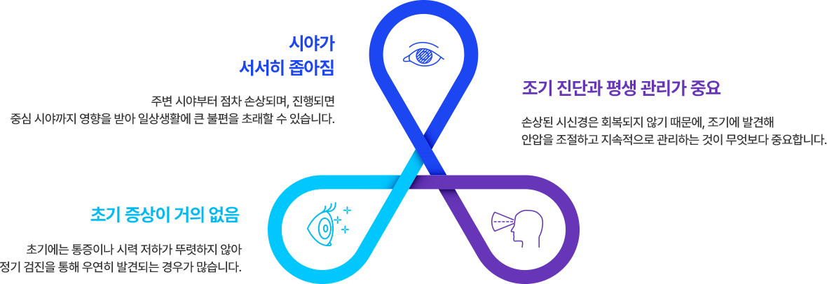 1. 시야가 서서히 좁아짐 : 주변 시야부터 점차 손상되며, 진행되면 중심 시야까지 영향을 받아 일상생활에 큰 불편을 초래할 수 있습니다. 2. 초기 증상이 거의 없음 : 초기에는 통증이나 시력 저하가 뚜렷하지 않아 정기 검진을 통해 우연히 발견되는 경우가 많습니다. 3. 조기 진단과 평생 관리가 중요 : 손상된 시신경은 회복되지 않기 때문에, 조기에 발견해 안압을 조절하고 지속적으로 관리하는 것이 무엇보다 중요합니다.